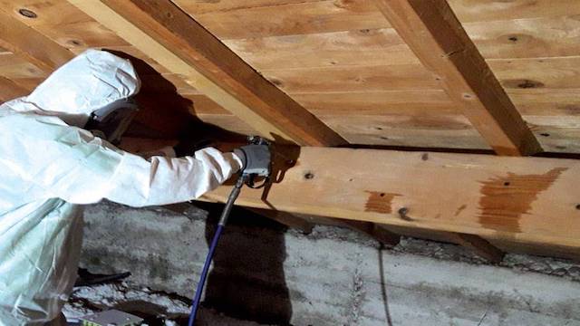 traitement traitement